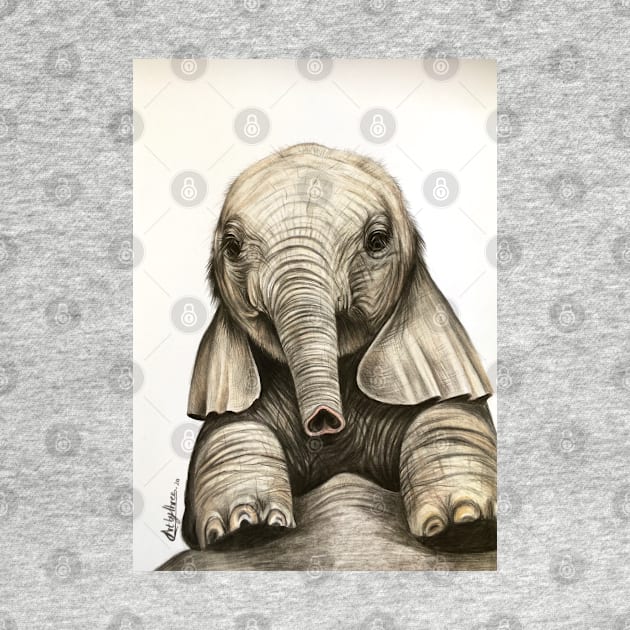 Cute Baby Elephant by Artbythree